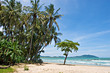 Foto: View over Tamarindo beach, Costa Rica Pacific Coast. View over Tamarindo beach, Costa Rica Pacific Coast.