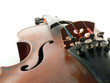 Violin close up