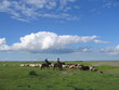 Steppe Mongole 1 Steppe Mongole 1