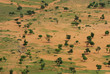 Pays Dogon au Mali Pays Dogon au Mali