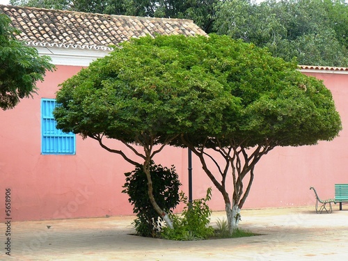 Foto: casas coloniales de la ciudad de Coro, Edo. Falcon, Venezuela casas coloniales de la ciudad de Coro, Edo. Falcon, Venezuela