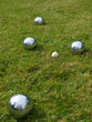 Four boules and jack on a lawn