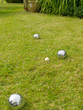 Three boules and jack on a lawn