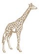 girafa
