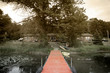 Summer vacation cabins by a small lake in the woods