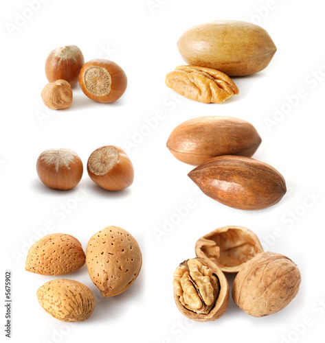 different kinds of nuts