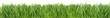 Green grass isolated on white background
