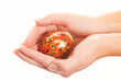 Hands holding easter egg isolated on white background