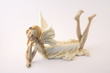 Dreaming Fairy Dreaming Fairy