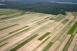 Field