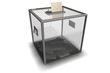 Urne de vote