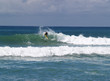 Surfer