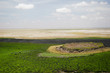amboseli swamp