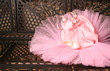 Pink Ballet costume and miniature shoe on a rustic background