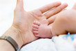 Father hold baby leg in hand Father hold baby leg in hand