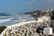 Caribbean Graveyard Caribbean Graveyard