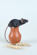 mouse mouse