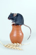 mouse mouse