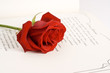 Roman et rose Roman et rose