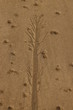 dessin ¨sur sable