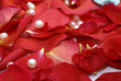 bright rose petal background for Valentine's Day