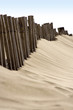 Erosion du littoral : ganivelles de protection des dunes