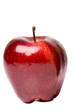 One bright red apple isolated on white with slight shadow One bright red apple isolated on white with slight shadow