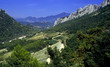 Grapes growing in cote du rhone vineyards 