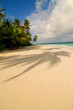 Maldivian sand beach