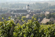 vignoble de marlenheim en alsace vignoble de marlenheim en alsace
