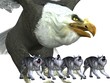 Adler und Wölfe (isoliert)