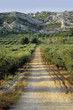 france provence bouches du rhone provence 