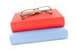 red and blue book isolated on a white background
