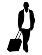 Viaggiatore