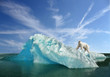 fonte des glaces fonte des glaces