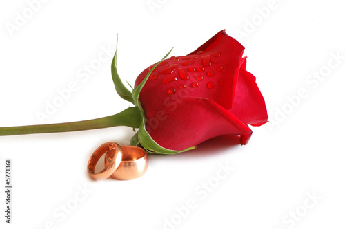 Wedding and Valentine concept with rose and rings