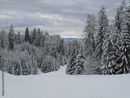 Foto: Neve a Passo Mendola (TN) Neve a Passo Mendola (TN)
