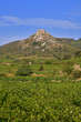 roussillon : chateau cathare d'aguilar