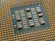processor with golden pins closeup. shallow dof