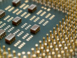 processor with golden pins closeup. shallow dof