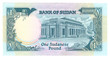 1 pound bill of Sudan, blue pattern 1 pound bill of Sudan, blue pattern