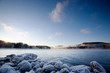 Winter Landscape