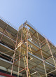 Scaffold