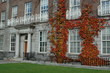 Georgian House in Dublin