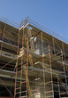 Scaffold