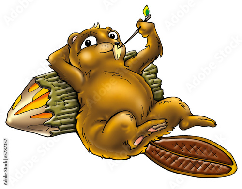 beaver