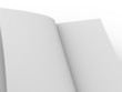 Open book Open book