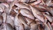 fish at market