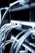 Photo: A shot of network cables connected to switches in a data center A shot of network cables connected to switches in a data center