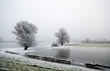 winter landscape